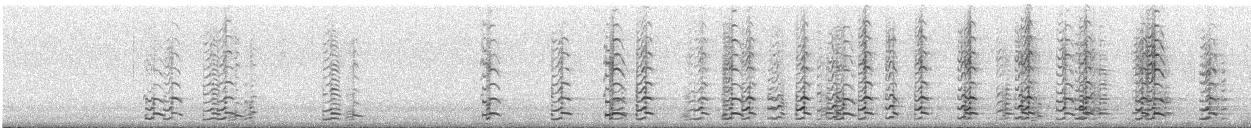 Zwergkanadagans (leucopareia) - ML621158337