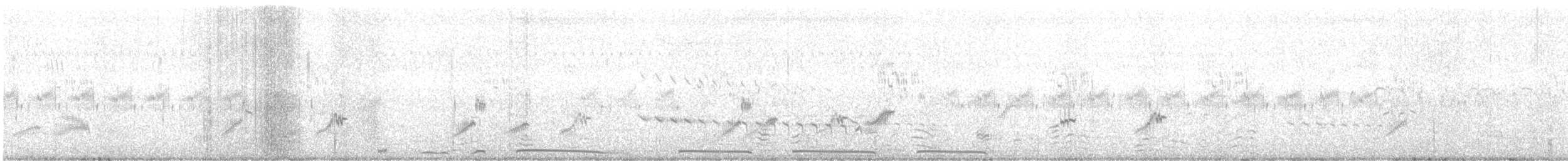 印度鵲椋鳥 - ML621160118
