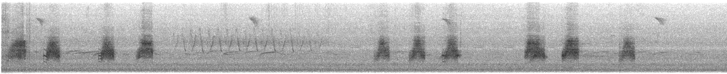 Snowy-browed Nuthatch - ML621160562