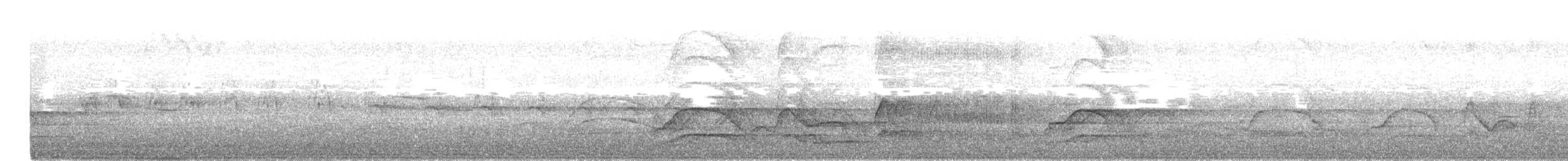 Büyük Kiskadi Tiranı - ML621160710