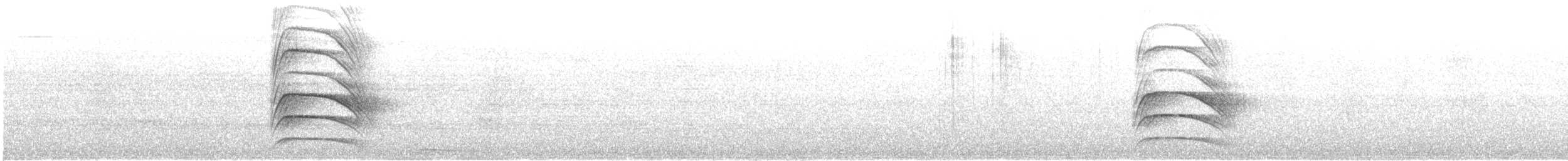 Büyük Kiskadi Tiranı - ML621162829