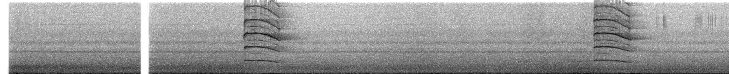 kalous ušatý - ML621163262