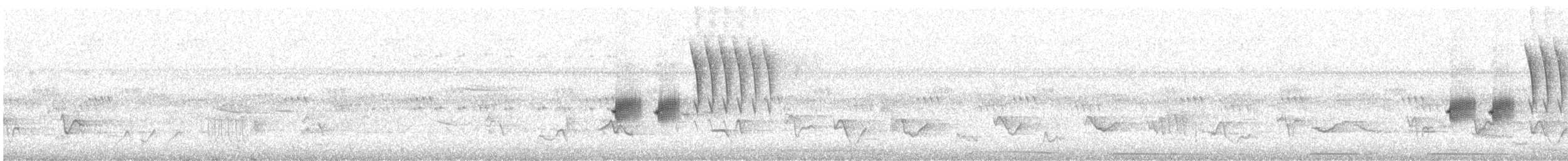 Spotted Towhee - ML621163789
