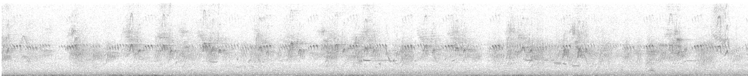 Labar-enara amerikarra - ML621163799