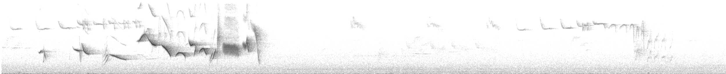 Пестрогрудая овсянка [группа schistacea] - ML621163854