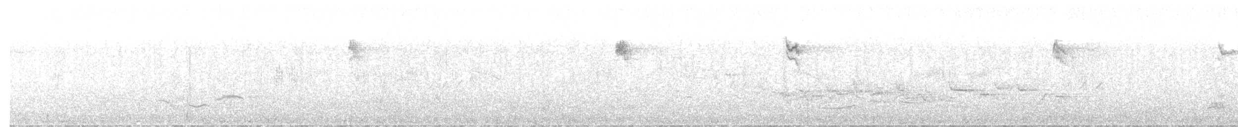 Spotted Flycatcher - ML621163929