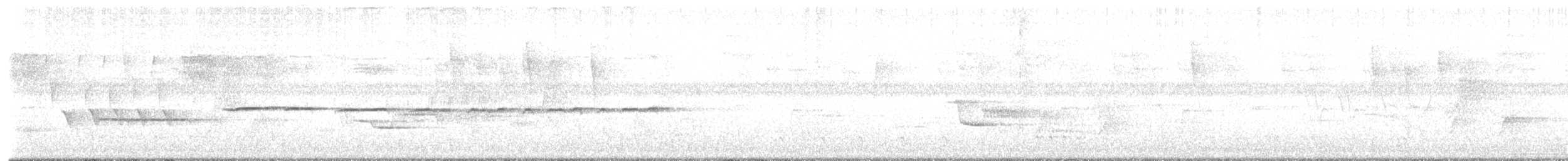 Белогорлая зонотрихия - ML621164418
