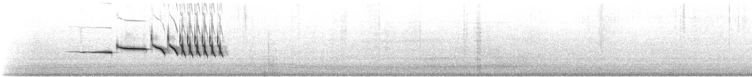 hvitkronespurv (nuttalli) - ML621164470