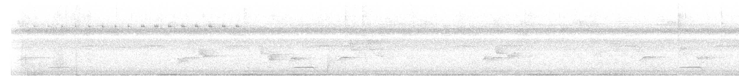 Белокрылая питта - ML621164508
