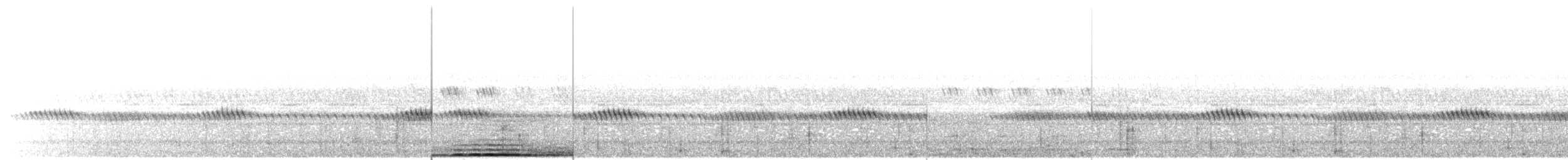 褐林鴞 - ML621165116