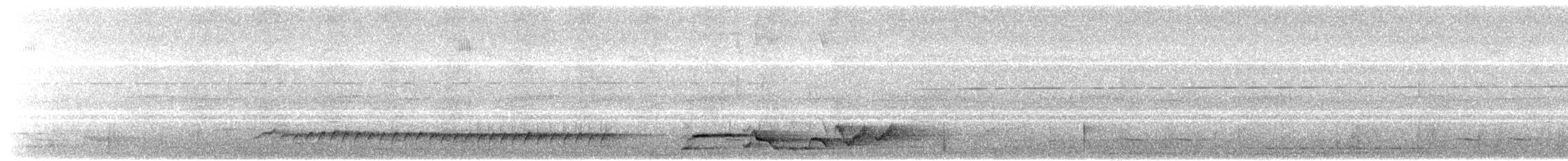 白腰鵲鴝 - ML621165252