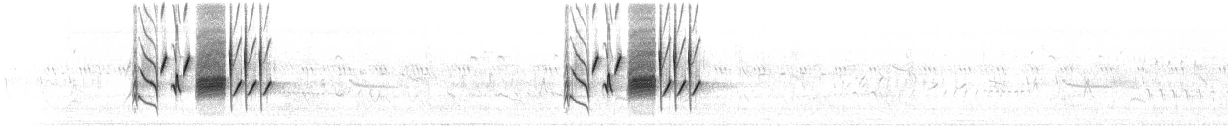 Schwarzkehlammer - ML621165711