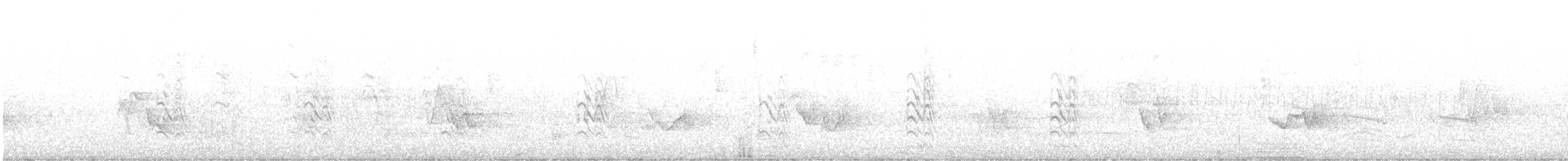 Trauerseeschwalbe - ML621167955