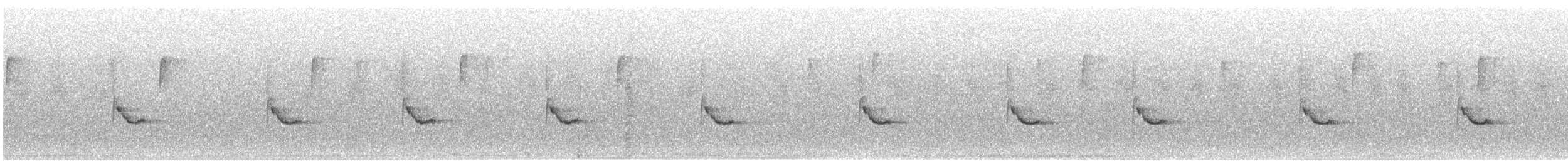 Каролинский крапивник - ML621168458
