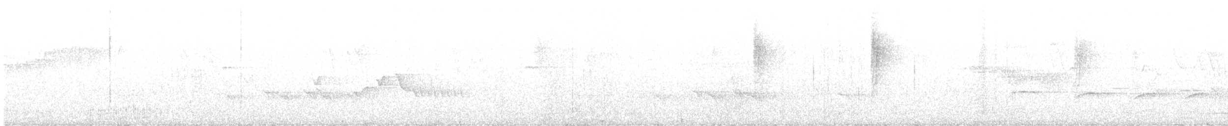 オグロコンヒタキ - ML621169435