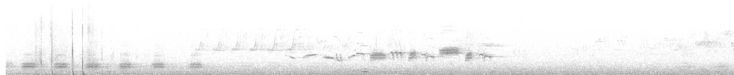 Скеляр білокрилий - ML621169518