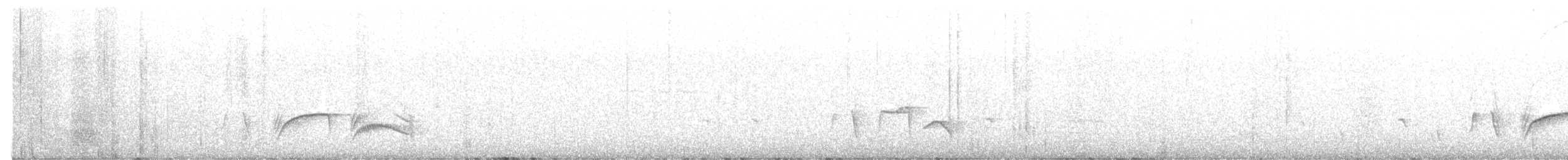 Kahverengi Papağangaga - ML621169884