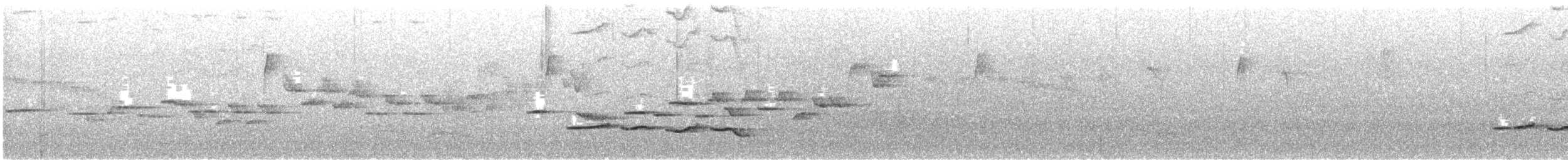 sjevrontimal - ML621170145