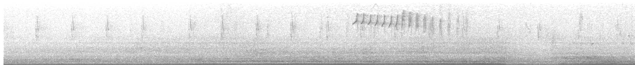 Колібрі-довгохвіст смарагдовий - ML621170635