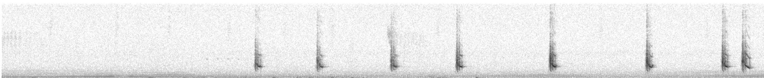Plain-tailed Wren - ML621170658