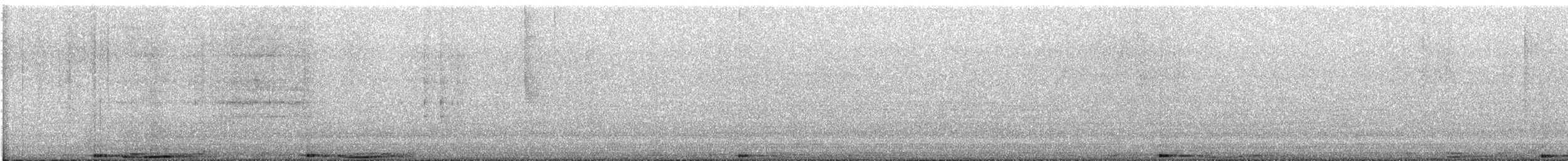 holub skalní (domácí) - ML621170820