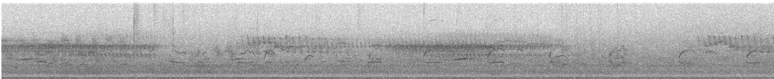 Дятел-смоктун білочеревий - ML621170921