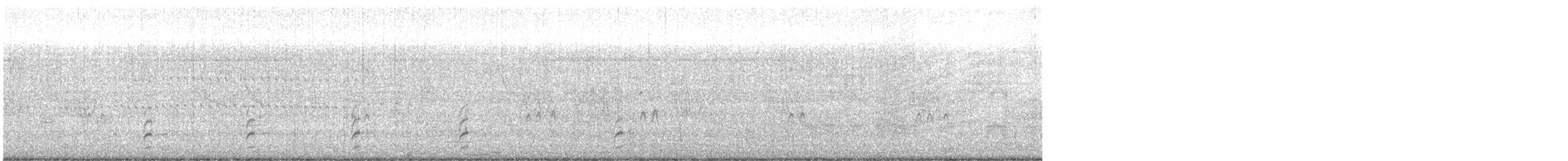 svartkronestylteløper - ML621170988