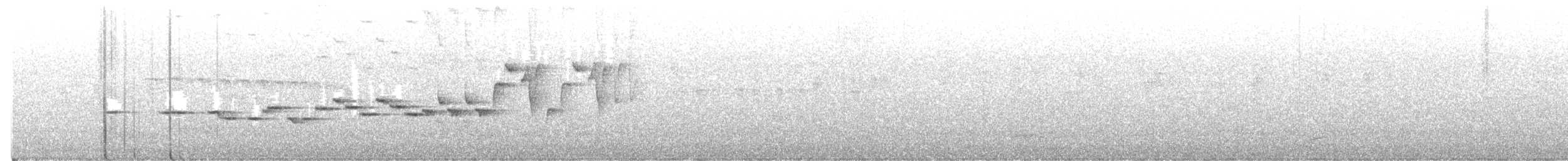 Рыжебрюхий короткокрыл - ML621171053