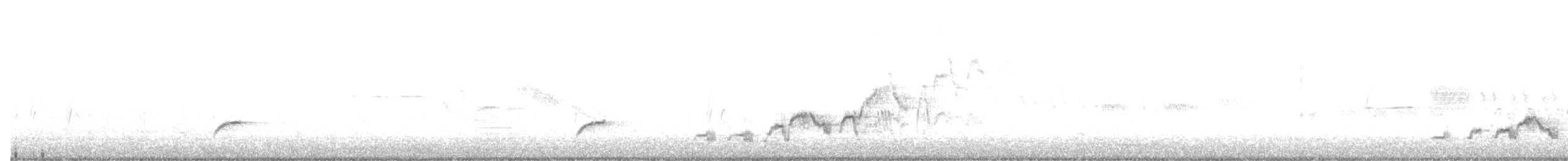 Дрізд-короткодзьоб Cвенсона - ML621172337