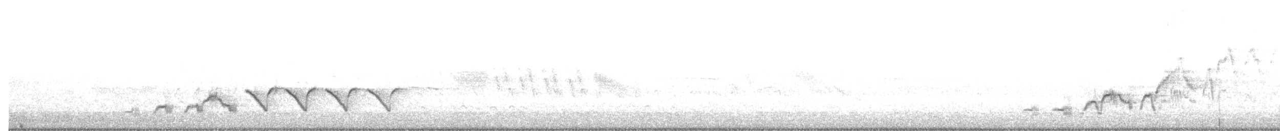 Дрізд-короткодзьоб Cвенсона - ML621172339