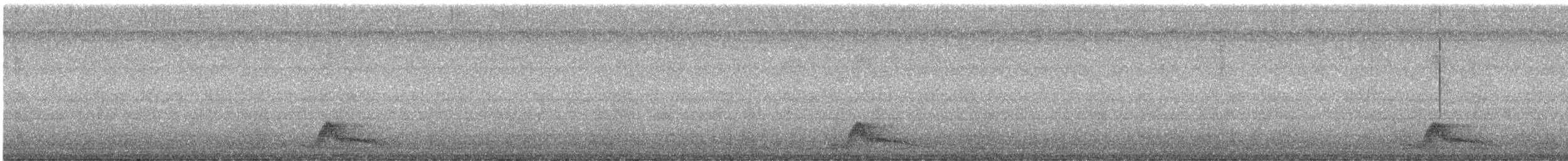 Common Pauraque - ML621173091