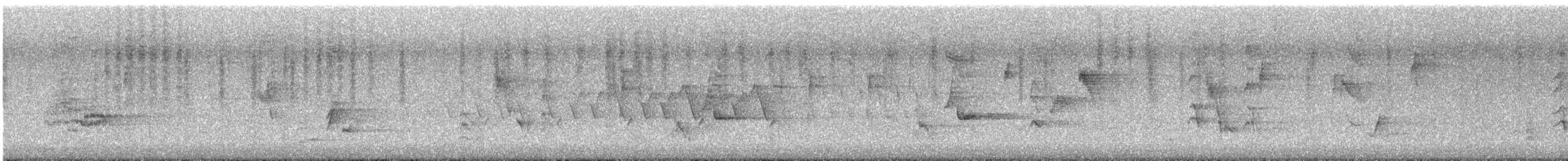 Troglodyte des marais - ML621174899
