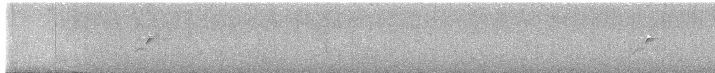 Batı Amerika Sinekkapanı (occidentalis/hellmayri) - ML621174923