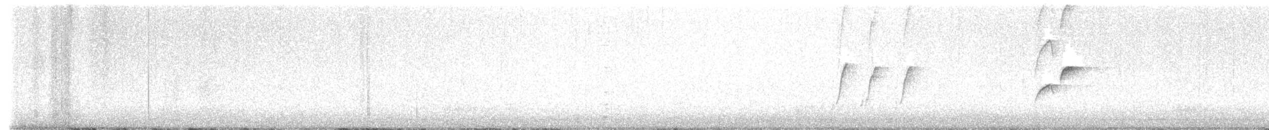Batı Amerika Sinekkapanı (occidentalis/hellmayri) - ML621174924