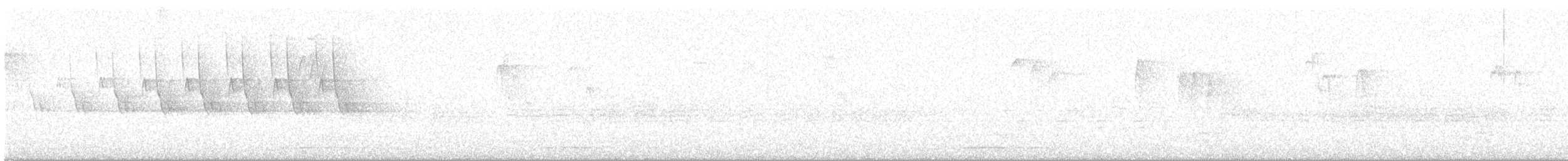 Chouette rayée - ML621174936