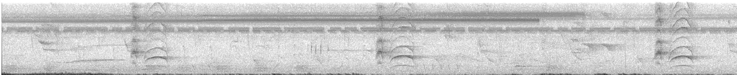 Great Kiskadee - ML621174949