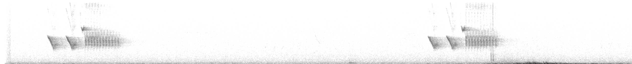 Benekli Tovi [maculatus grubu] - ML621178082