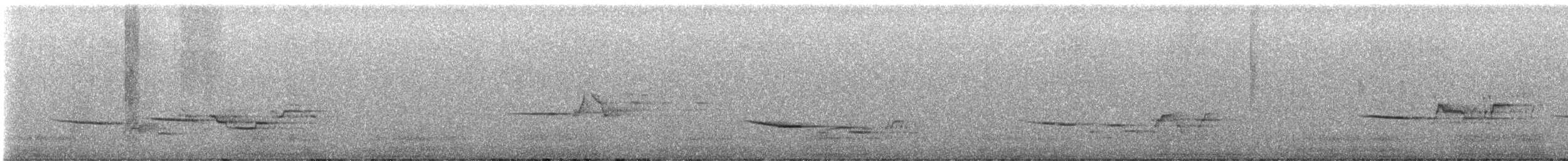 Дрізд-короткодзьоб плямистоволий - ML621179261