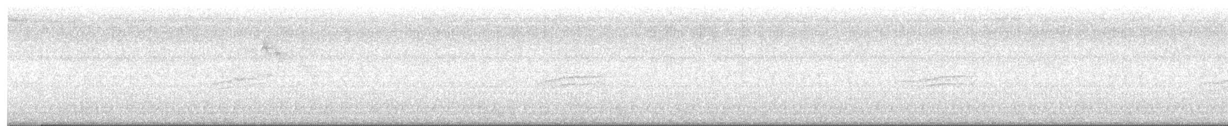Дрізд-короткодзьоб плямистоволий - ML621179385