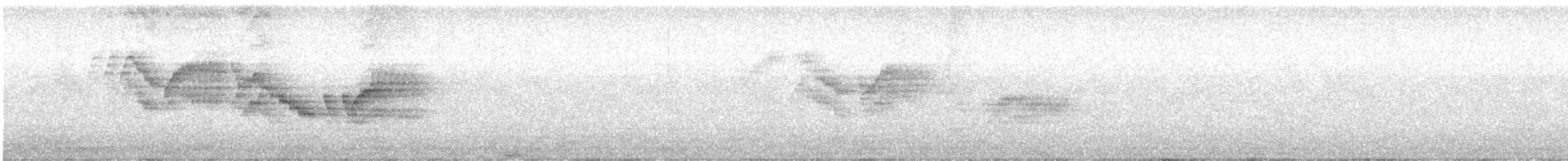 Bicknell Bülbül Ardıcı - ML621179404