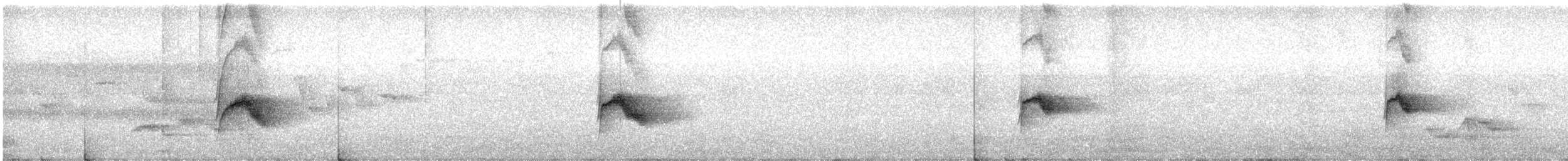 Пестрогорлый соловьиный дрозд - ML621179405