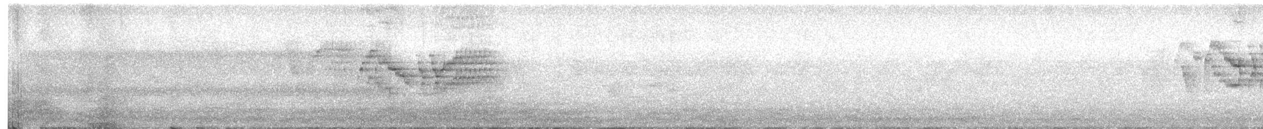 Дрізд-короткодзьоб канадський - ML621179407