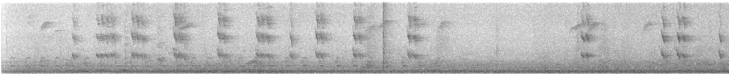 Grünband-Sonnennymphe - ML621179721