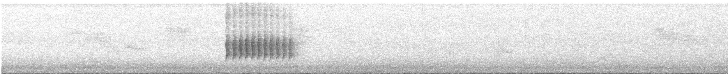 Тауї плямистий - ML621180521