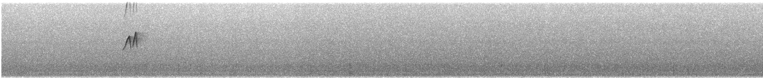 Пестрогорлая гевара - ML621180750