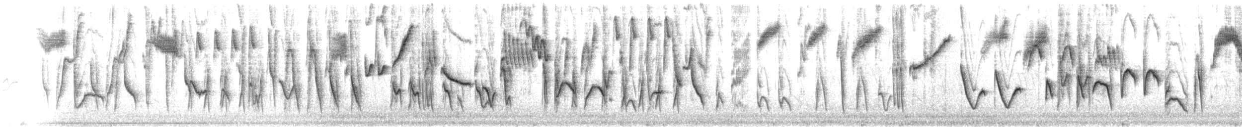Tohi à nuque claire - ML621180864