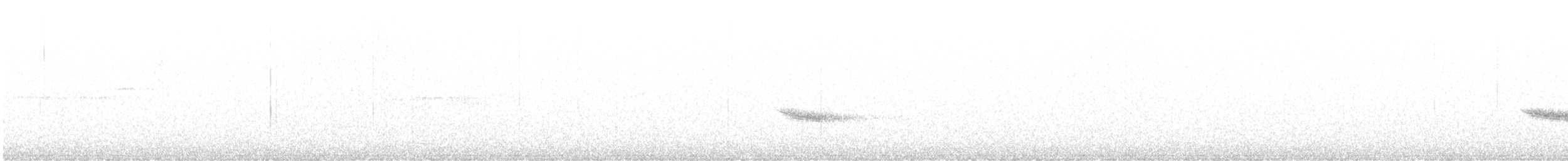eremittskogtrost (guttatus gr.) - ML621180941