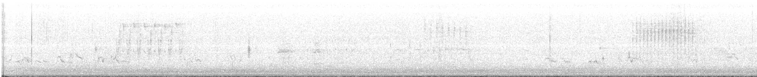 Troglodyte des marais - ML62118111