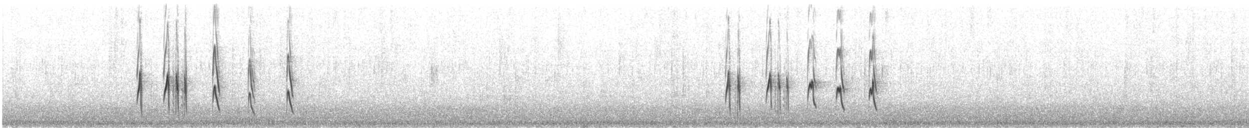 Тиранчик-довгохвіст білогорлий - ML621181283
