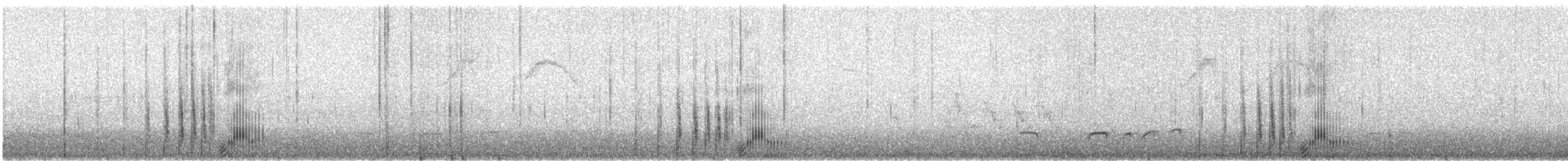Савка андійська (підвид andina) - ML621182041